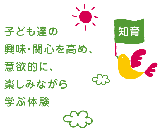 知育について